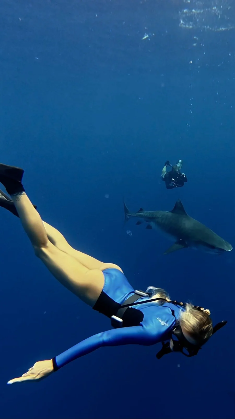 Freediving with Ocean Ramsey in the open blue. It means everything to have quality people looking out for you, teaching you to stay safe and to appreciate the grace of these animals. | Ocean Ramsey freediving with a tiger shark in Fuvahmulah, cageless shark diving, ocean conservation, One Ocean Diving, Nomadic Addictt.