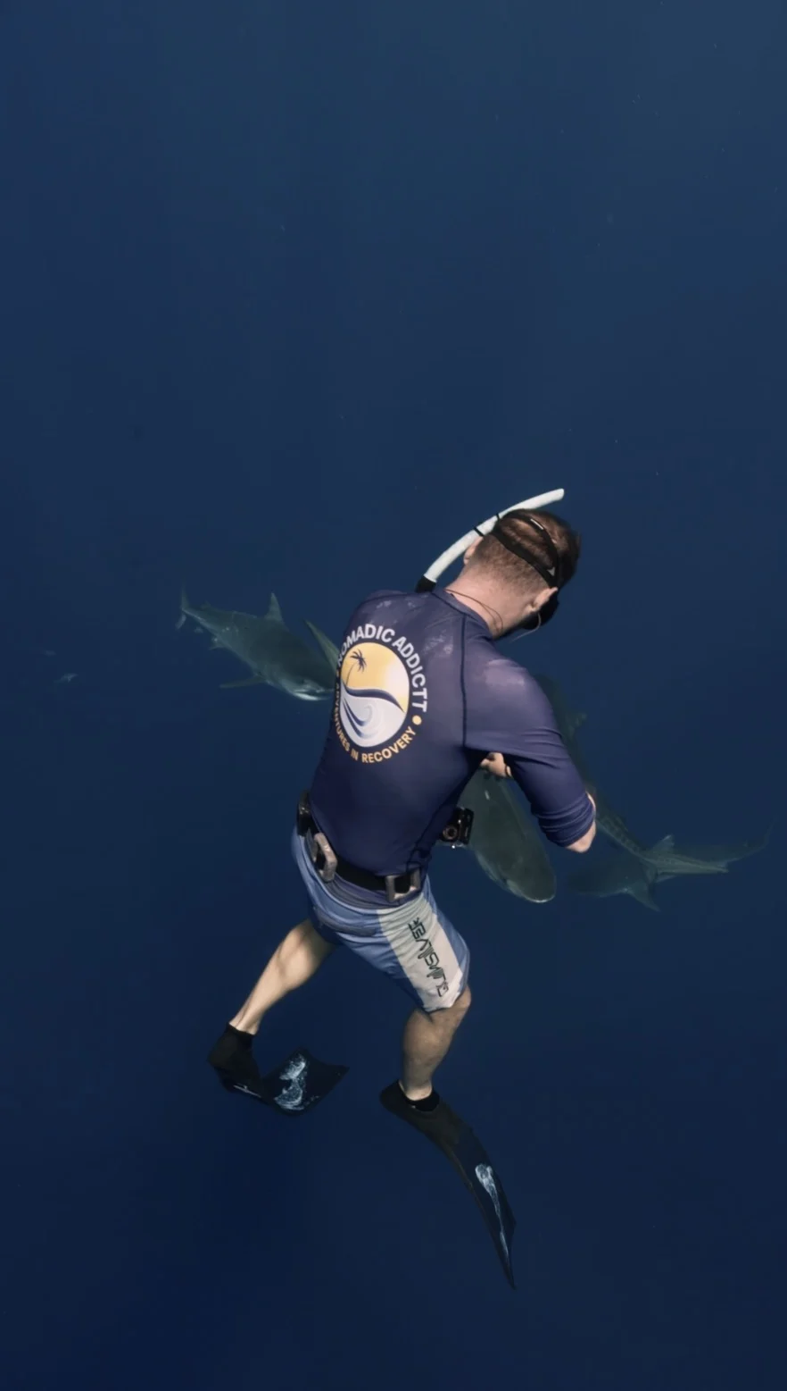 Diving Tiger Sharks in Fuvahmulah: A Sober Adventure in the Maldives