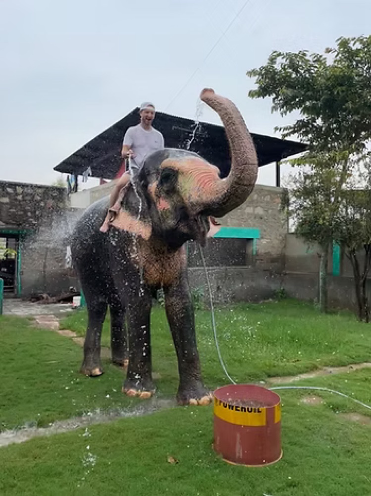 Elephant Sanctuary in India