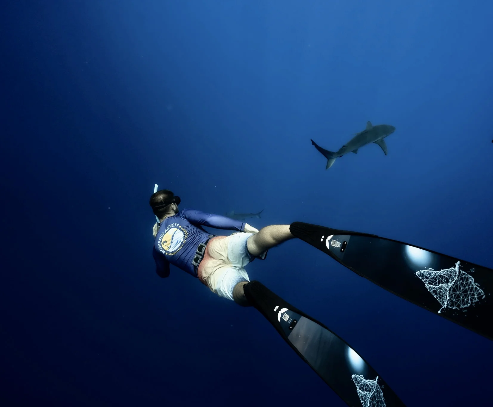 Freediving with sharks in the open ocean