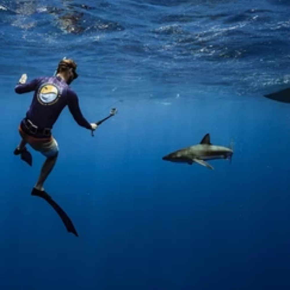 Freediving with sharks in Hawaii
