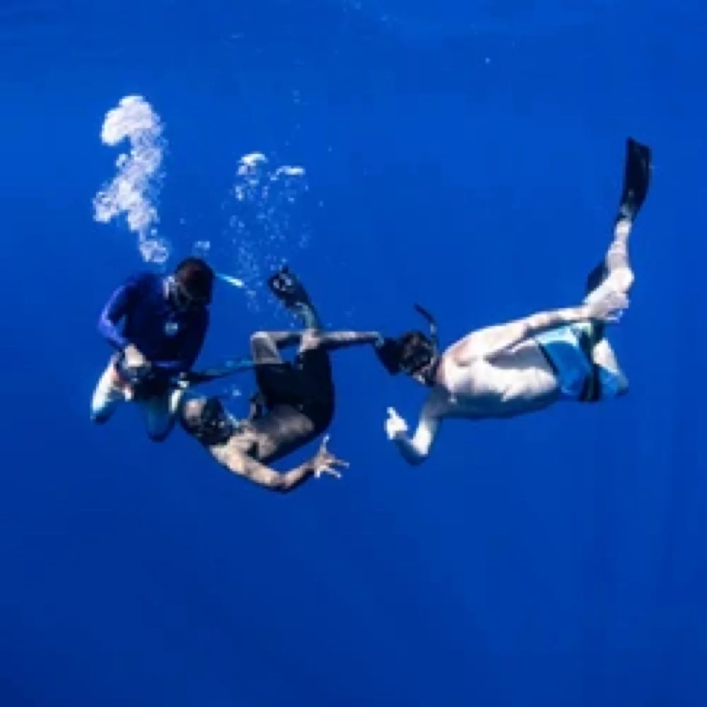 Sober fun diving in Hawaii